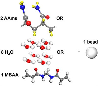 Study on Large Deformation Behavior of Polyacrylamide Hydrogel Using Dissipative Particle Dynamics
